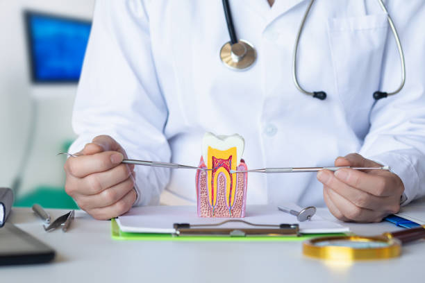 Best Broken Tooth Emergency  in Avenel, NJ